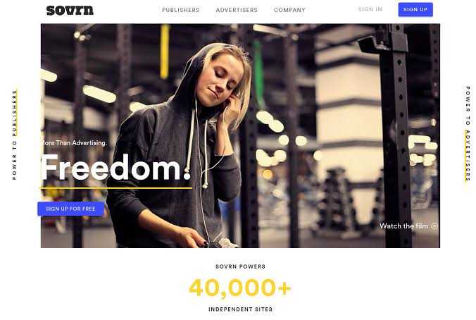 Sovrn ads Review: CPC, CPM, Requirements, Alternative