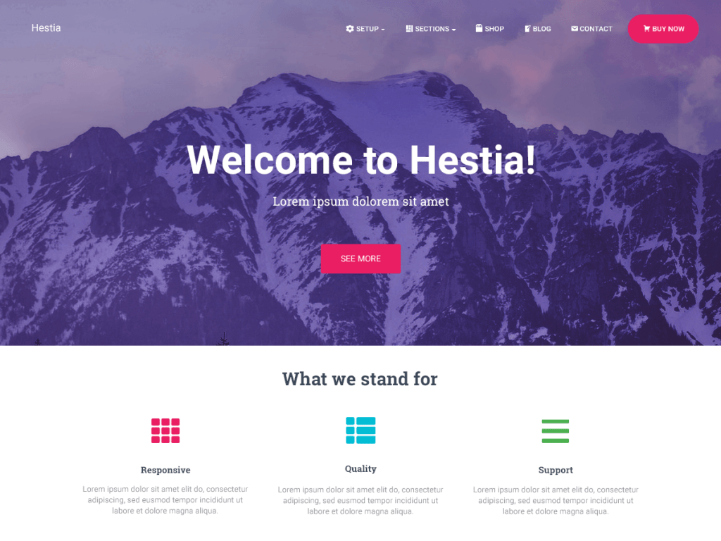 Hestia Multi purpose Theme